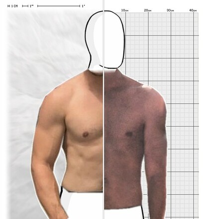Torso Comparison