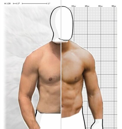 Torso Comparison