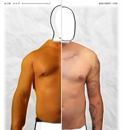 Torso Comparison