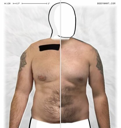 Torso Comparison