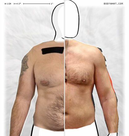 Torso Comparison