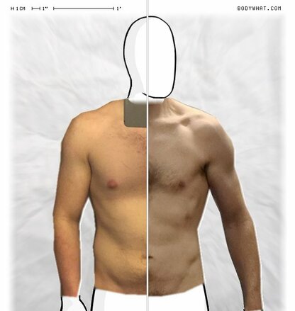 Torso Comparison