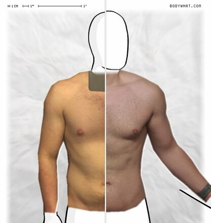 Torso Comparison