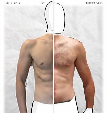 Torso Comparison