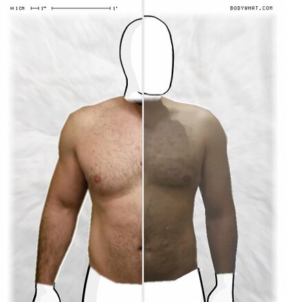 Torso Comparison