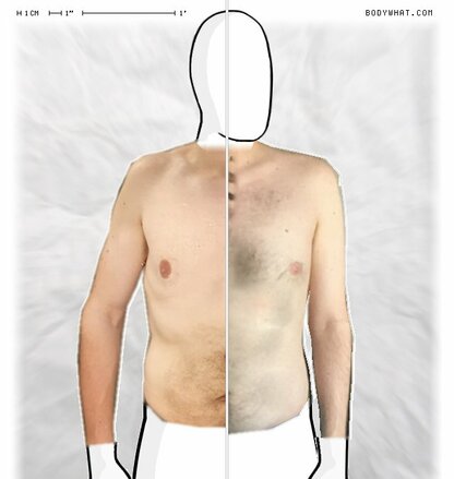 Torso Comparison