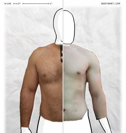 Torso Comparison