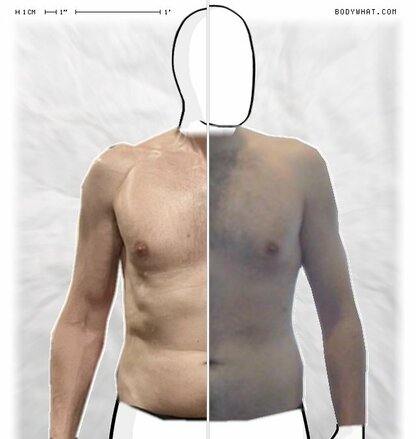 Torso Comparison