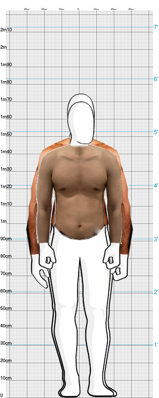 Full Size Comparison