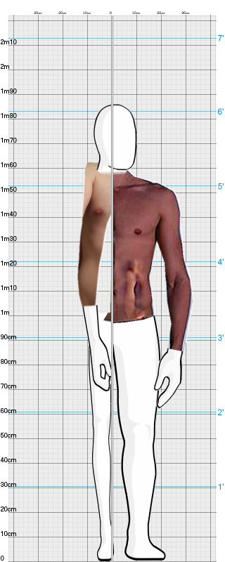 Full Size Comparison