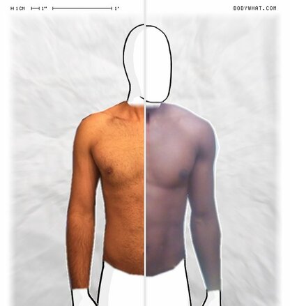 Torso Comparison