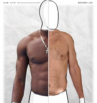 Torso Comparison