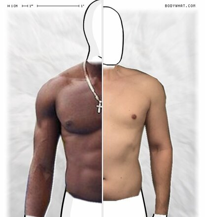 Torso Comparison