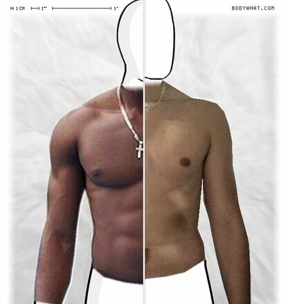 Torso Comparison