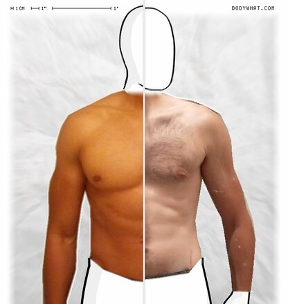 Torso Comparison