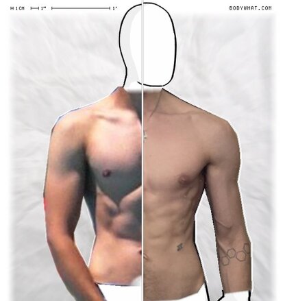 Torso Comparison