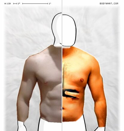 Torso Comparison