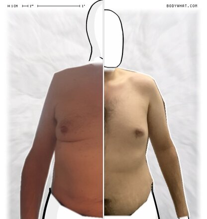 Torso Comparison