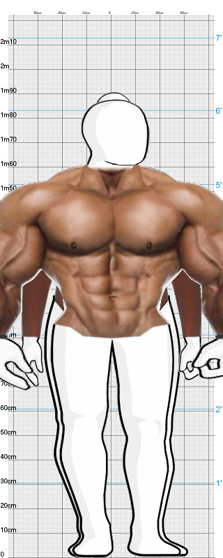 Full Size Comparison