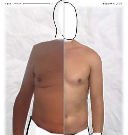 Torso Comparison