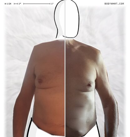 Torso Comparison