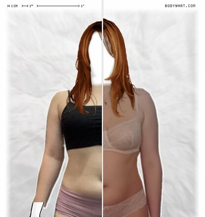 Torso Comparison