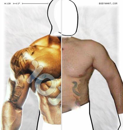 Torso Comparison