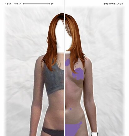 Torso Comparison
