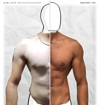 Torso Comparison