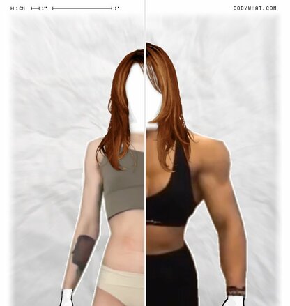 Torso Comparison