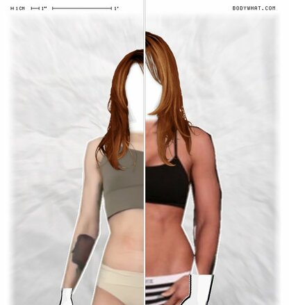 Torso Comparison