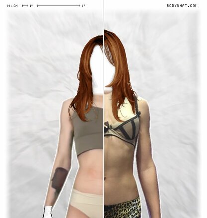 Torso Comparison