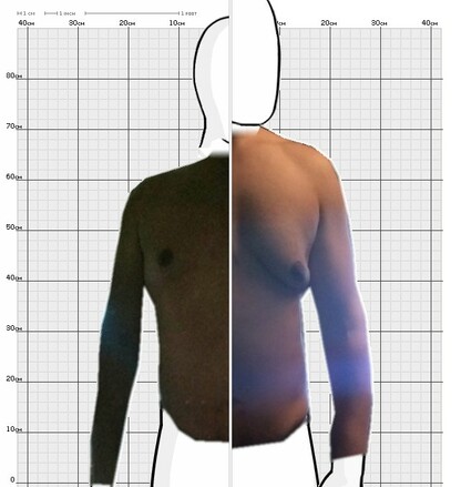 Torso Comparison