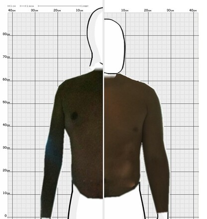 Torso Comparison