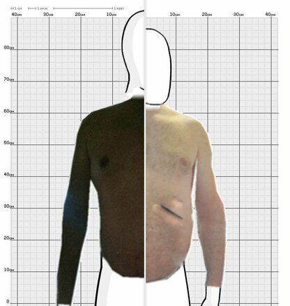 Torso Comparison