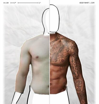 Torso Comparison