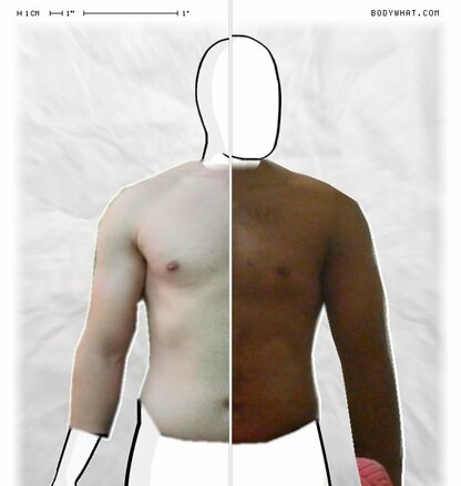 Torso Comparison