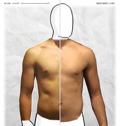 Torso Comparison