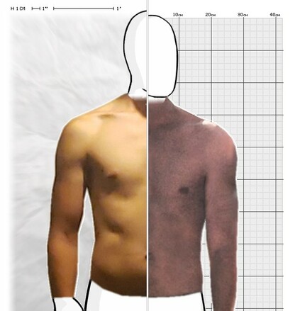 Torso Comparison