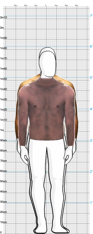 Full Size Comparison