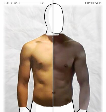 Torso Comparison