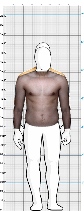 Full Size Comparison
