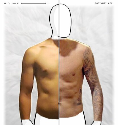 Torso Comparison