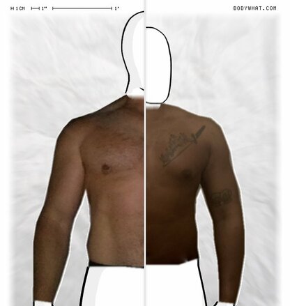 Torso Comparison