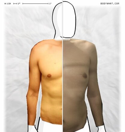 Torso Comparison