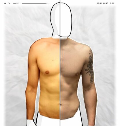 Torso Comparison