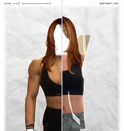 Torso Comparison