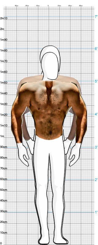 Full Size Comparison