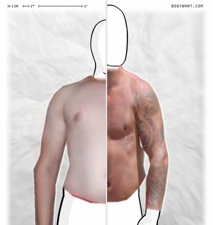 Torso Comparison