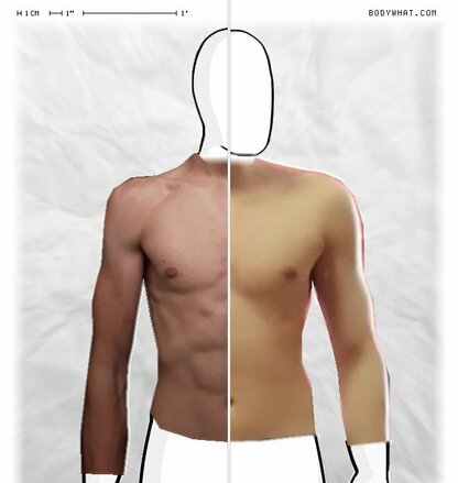 Torso Comparison